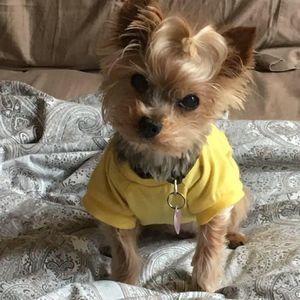 Meet your Posher, Shane